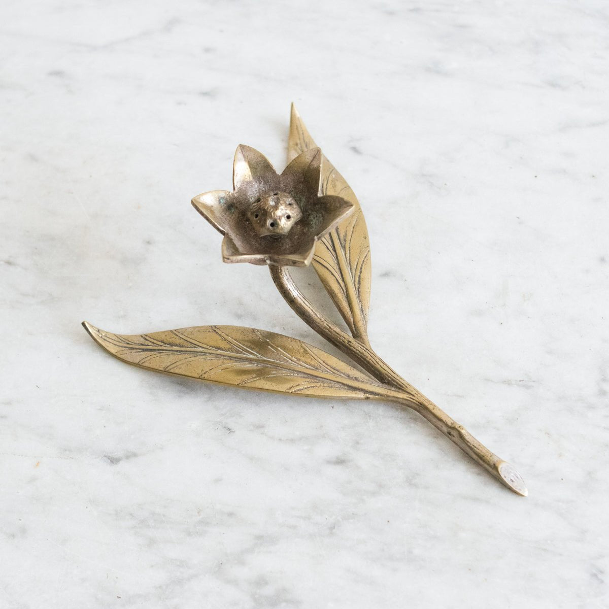 Cast Brass Botanical Sculpture - elsie green - decor