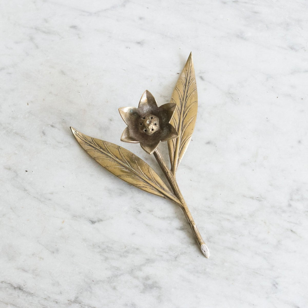 Cast Brass Botanical Sculpture - elsie green - decor