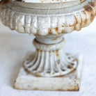 Cast Iron Garden Urn - elsie green - Decor