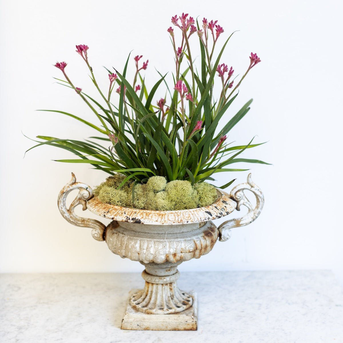 Cast Iron Garden Urn - elsie green - Decor