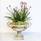 Cast Iron Garden Urn - elsie green - Decor