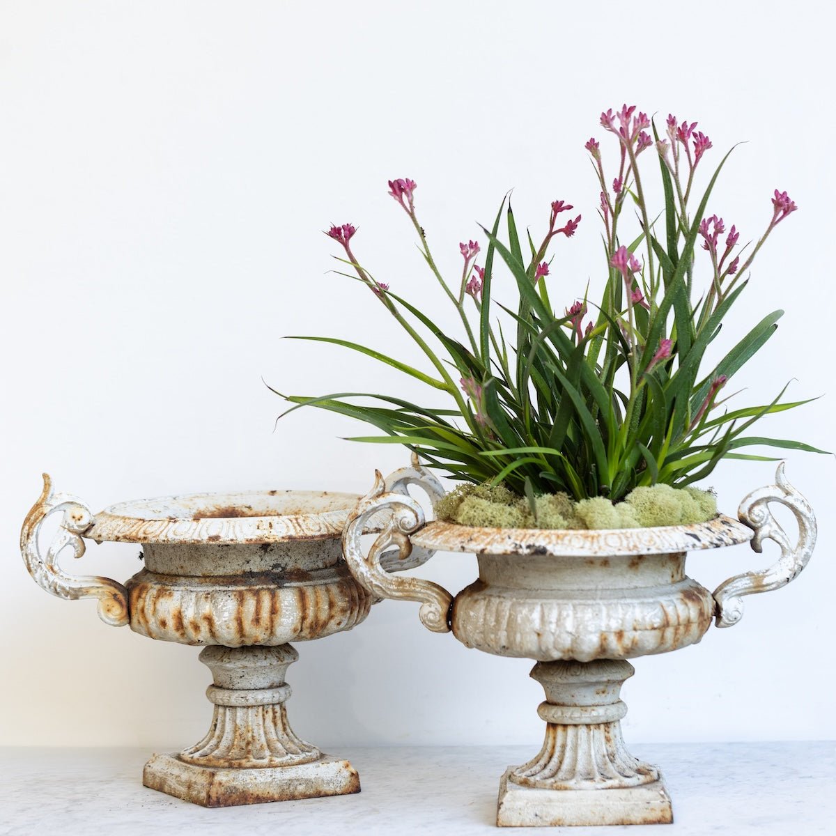 Cast Iron Garden Urn - elsie green - Decor