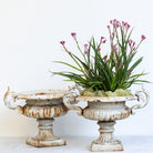 Cast Iron Garden Urn - elsie green - Decor