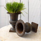Cast Iron Garden Urn - elsie green - decor