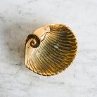 Cast Shell Vide Poche - elsie green - decor