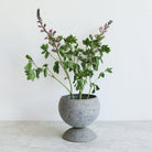 Cast Zinc Garden Urn - elsie green - decor