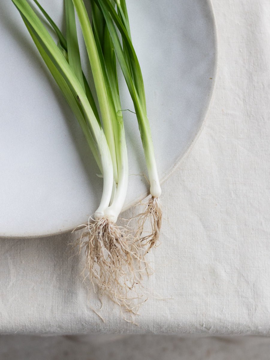 Chantilly Large Platter - elsie green - the french kitchen