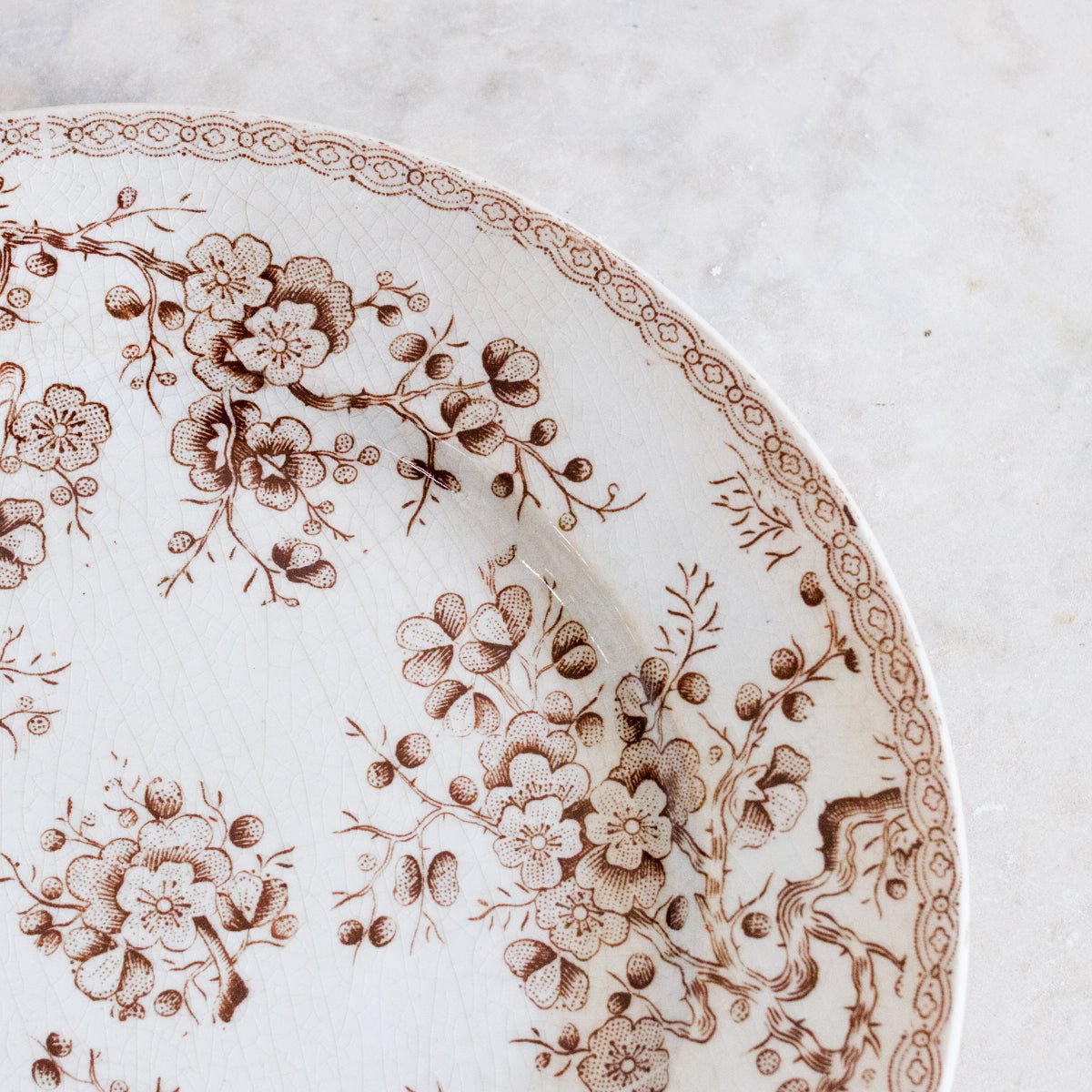 Cherry Blossom Transferware Plate Set Of 5 - elsie green - The French Kitchen