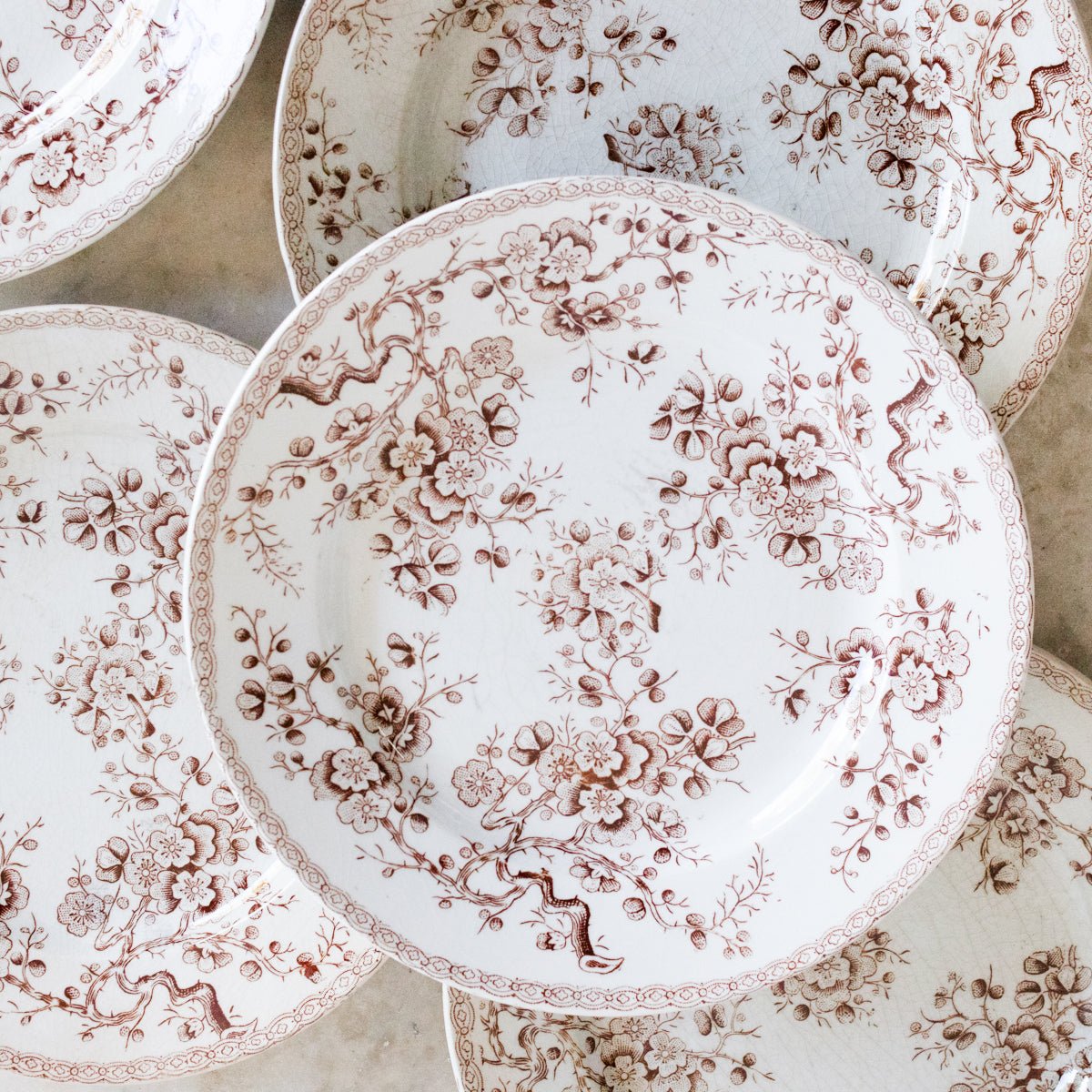 Cherry Blossom Transferware Plate Set Of 5 - elsie green - The French Kitchen