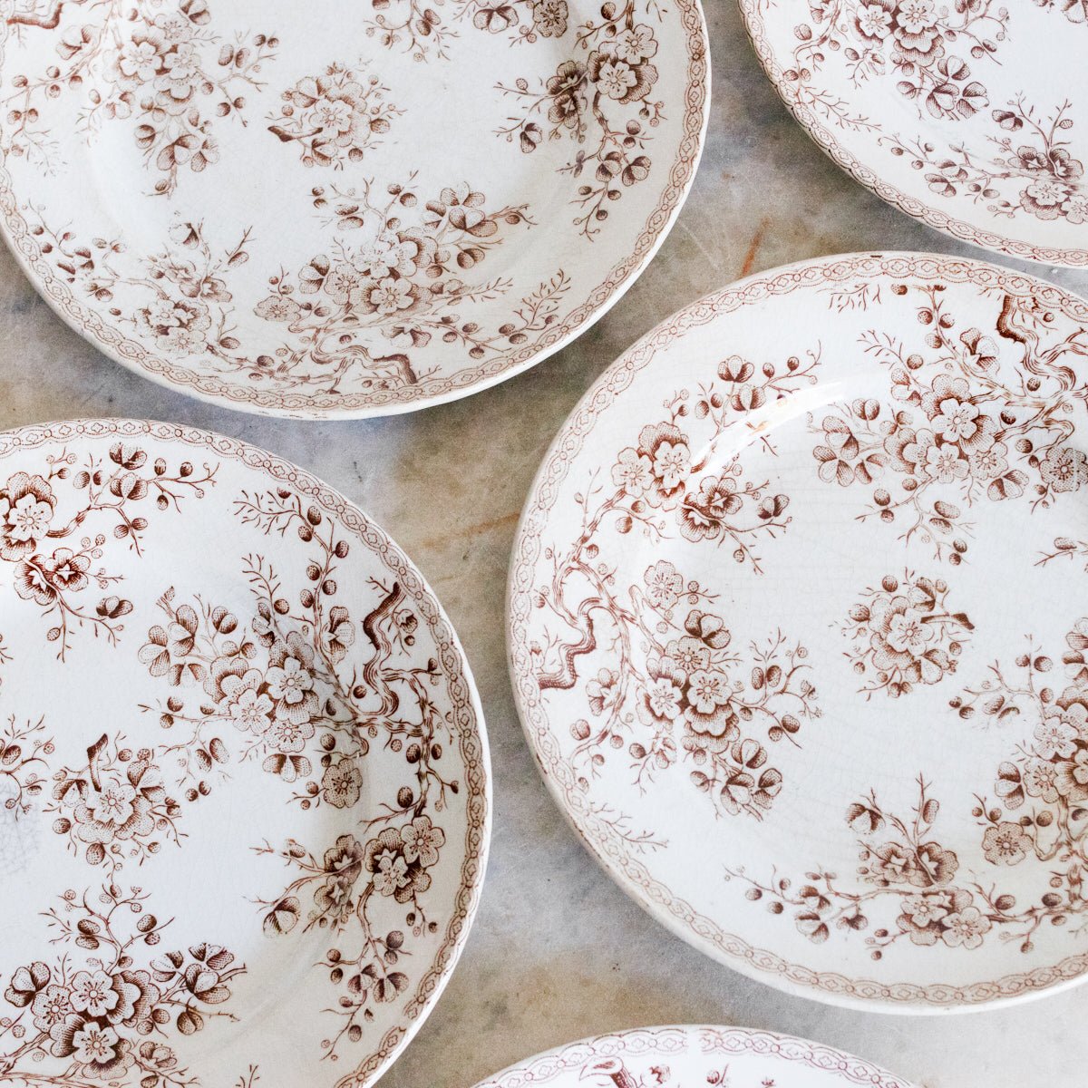 Cherry Blossom Transferware Plate Set Of 5 - elsie green - The French Kitchen