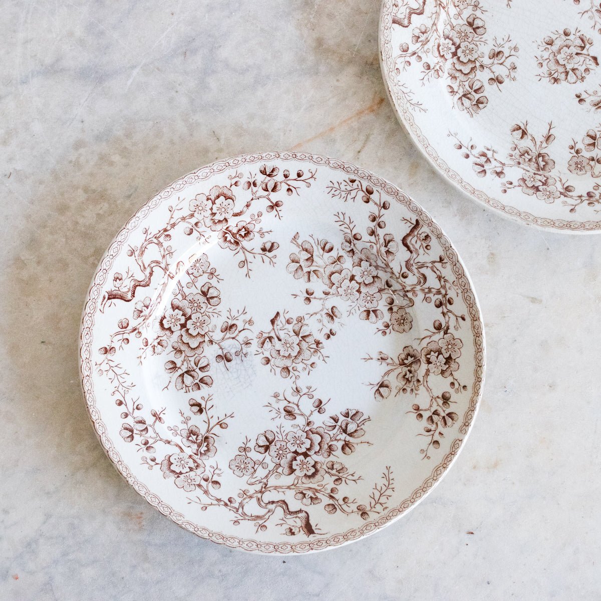 Cherry Blossom Transferware Plate Set Of 5 - elsie green - The French Kitchen