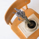 Child's School Chair - elsie green - furniture
