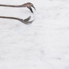 Christofle Ice Tongs - elsie green - The French Kitchen