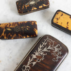 Collection of Horn Boxes - elsie green - decor