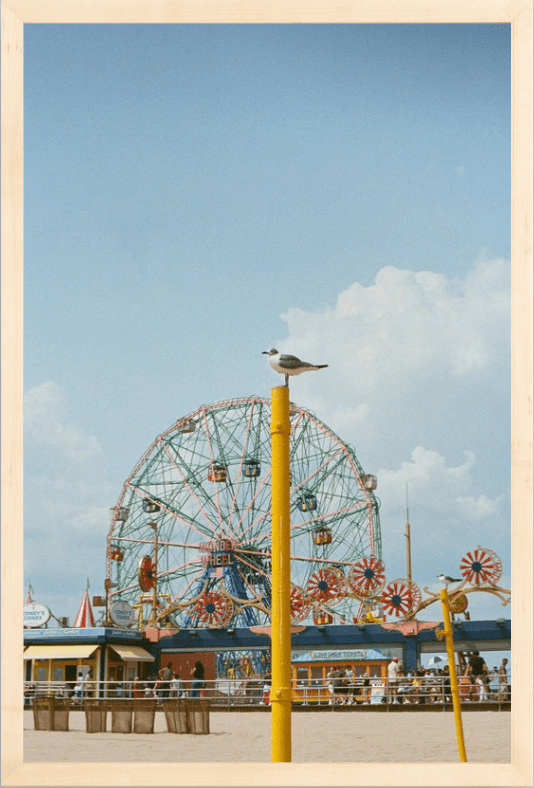 Coney Island Printed Photograph - elsie green - Art