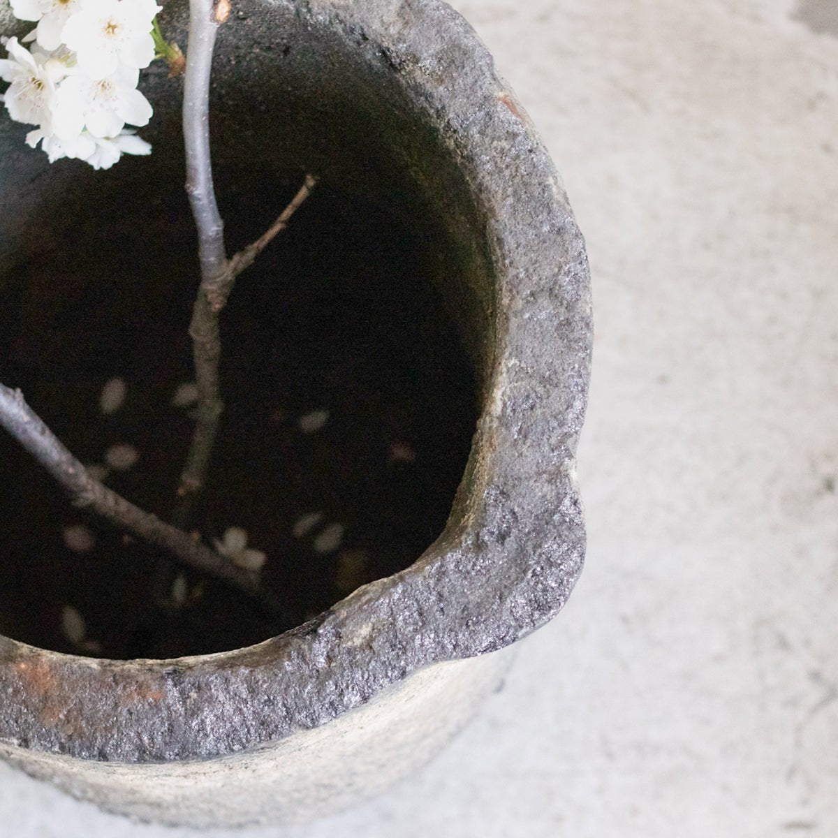 Creuset de Fonderie - elsie green - Decor