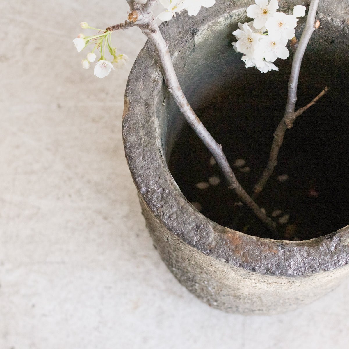 Creuset de Fonderie - elsie green - Decor
