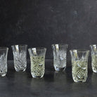 Cut Crystal Petite Flute Set Of 6 - elsie green - The French Kitchen