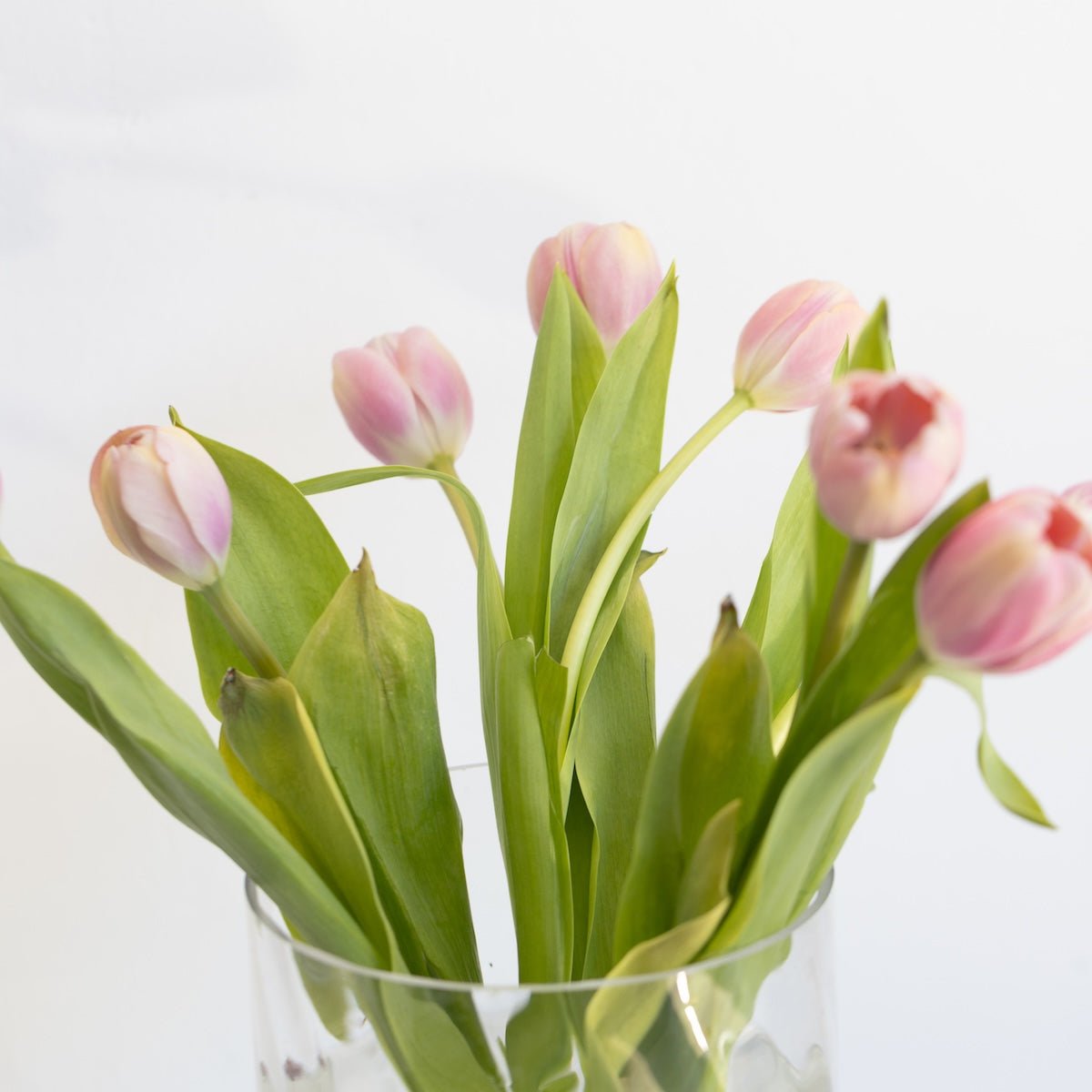 Cut Glass Candy Jar - elsie green - decor