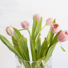Cut Glass Candy Jar - elsie green - decor