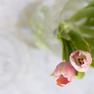 Cut Glass Candy Jar - elsie green - decor