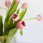 Cut Glass Candy Jar - elsie green - decor
