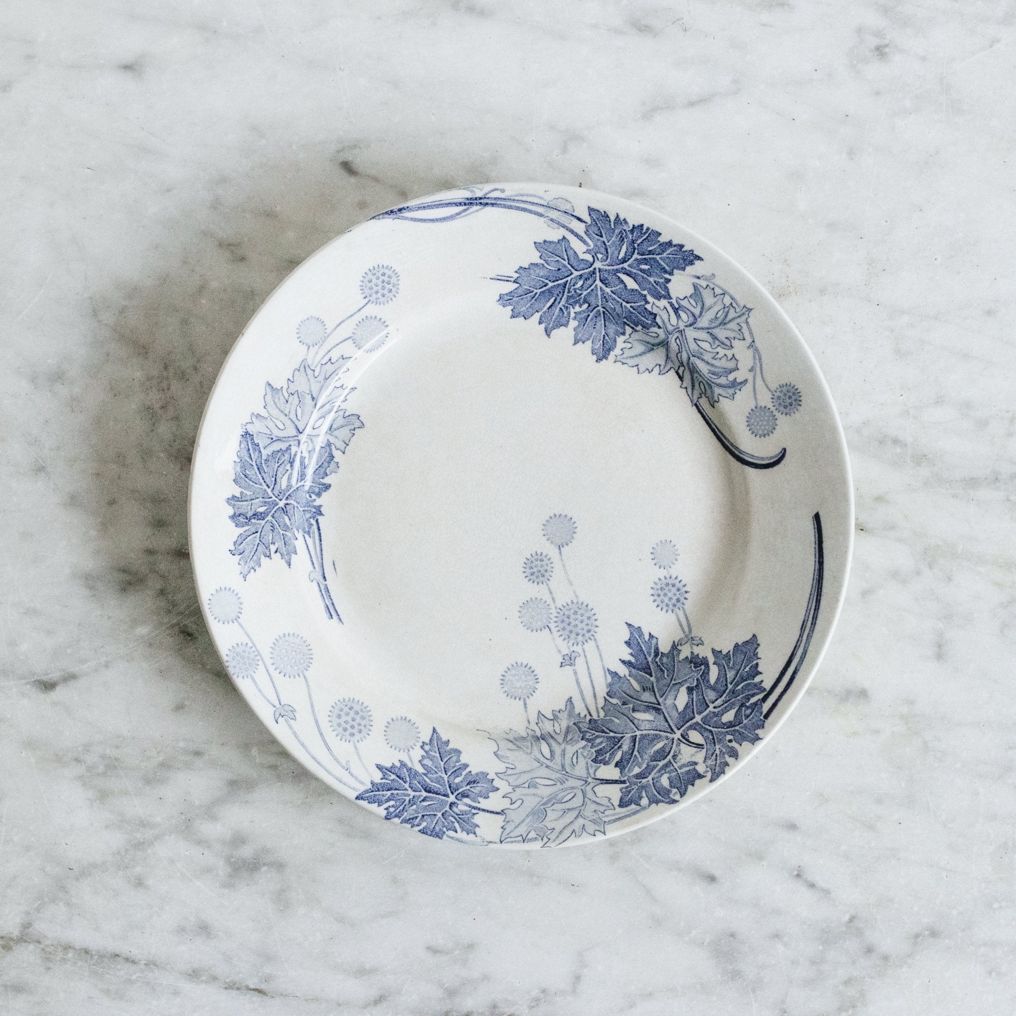 Dandelion Transferware Dinner Plate Set Of 4 - elsie green - The French Kitchen