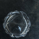 Daum Bleneau Crystal Shot Glass Set Of 4 - elsie green - The French Kitchen