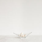 Daum Crystal Coupe - elsie green - decor