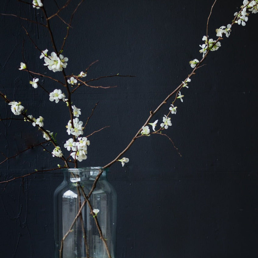 Blown Glass Pickling Jar - elsie green