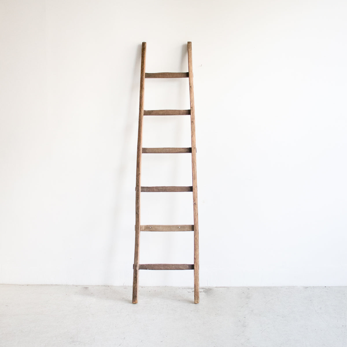 Vintage Farm Ladder - elsie green