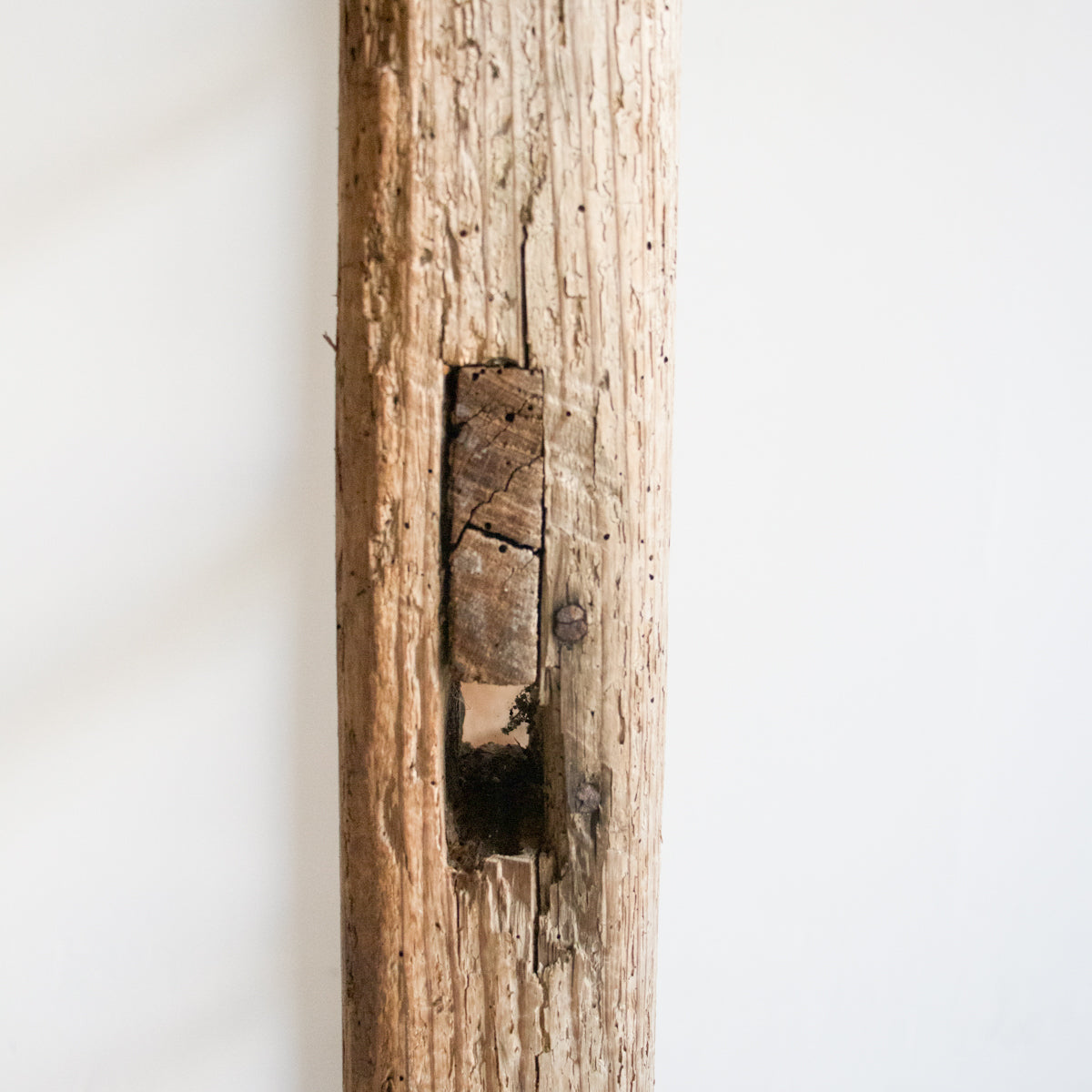 Vintage Farm Ladder - elsie green