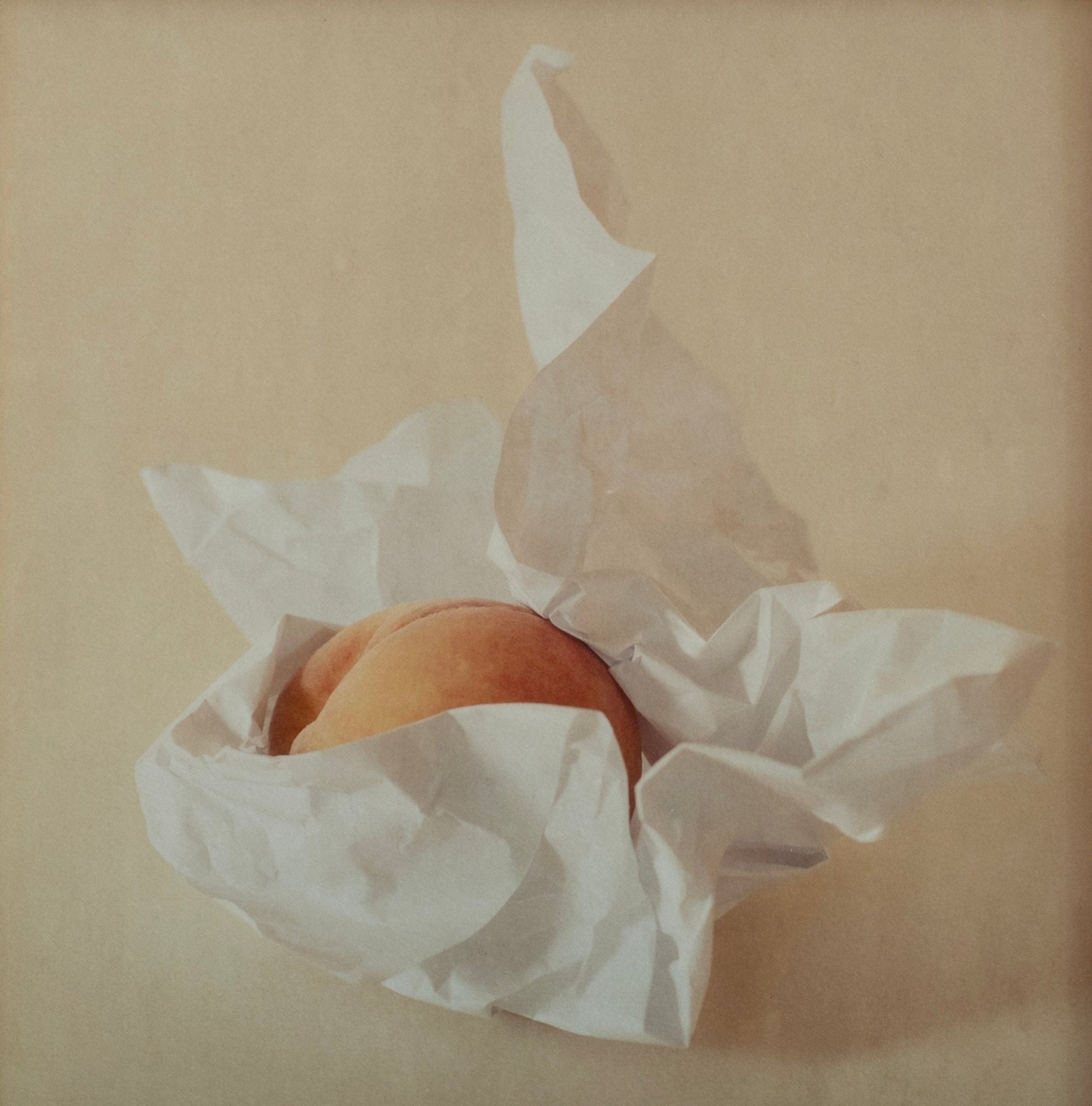 Eclipse | Jefferson Hayman - elsie green - art