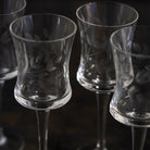Engraved Aperitif Glass Set of 4 - elsie green - the french kitchen