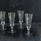 Engraved Floral Champagne Flute Set of 7 - elsie green - The French Kitchen