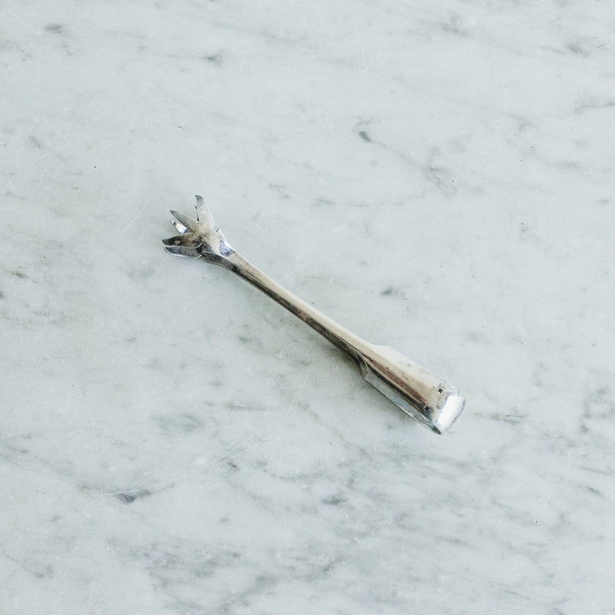 Engraved Ice Tongs - elsie green - The French Kitchen