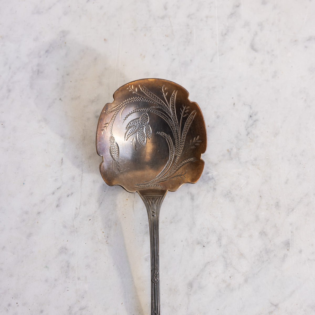 Engraved Silver Serving Spoon - elsie green - the french kitchen