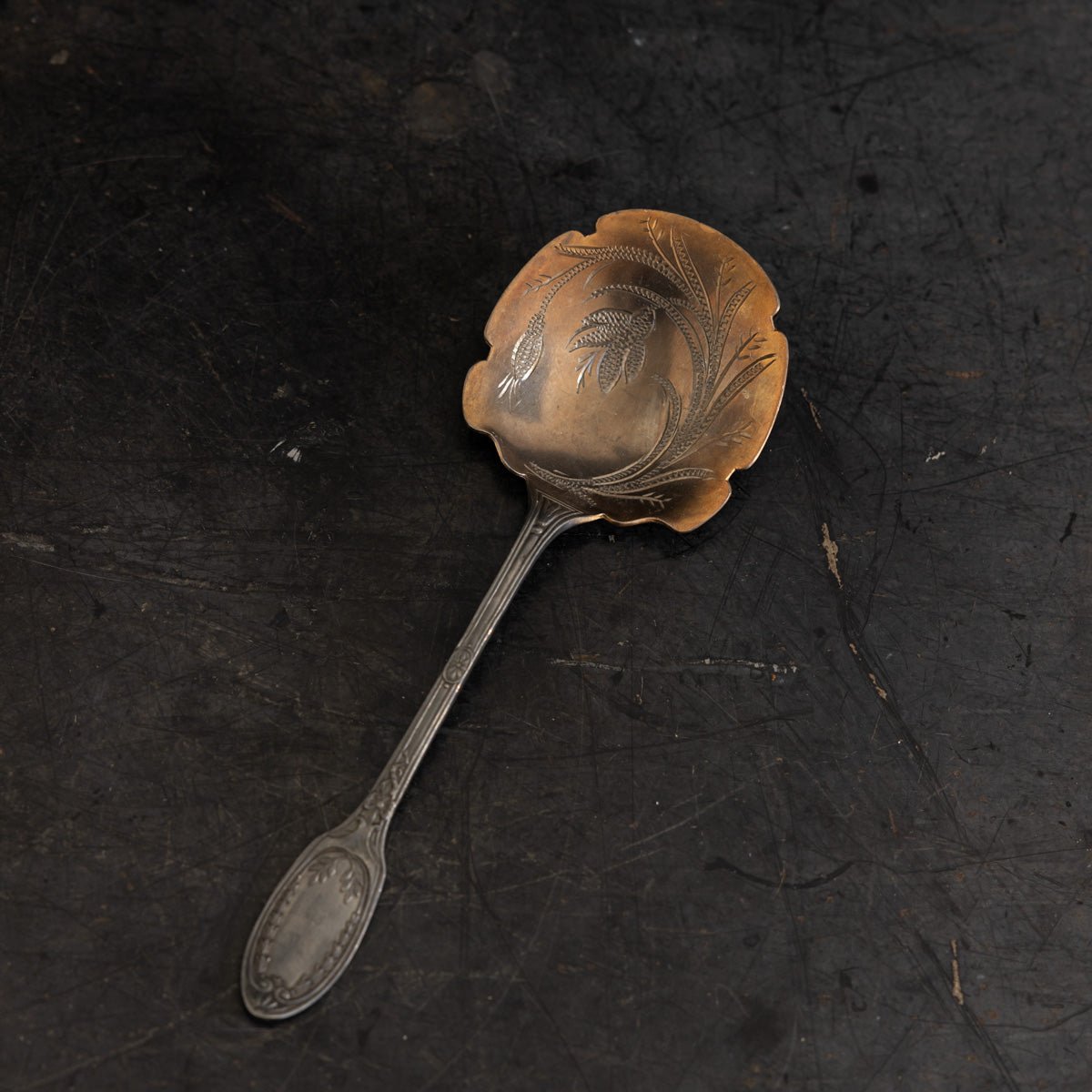 Engraved Silver Serving Spoon - elsie green - the french kitchen