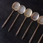 Ercuis Spoon Set of 12 - elsie green - the french kitchen