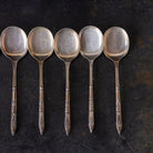 Ercuis Spoon Set of 12 - elsie green - the french kitchen