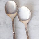 Ercuis Spoon Set of 12 - elsie green - the french kitchen