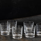 Etched Bar Glass Set of 12 - elsie green - the french kitchen