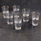 Etched Blown Glass Tumbler Set Of 6 - elsie green - The French Kitchen