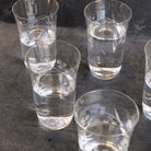 Etched Blown Glass Tumbler Set Of 6 - elsie green - The French Kitchen