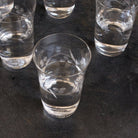 Etched Blown Glass Tumbler Set Of 6 - elsie green - The French Kitchen