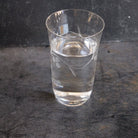 Etched Blown Glass Tumbler Set Of 6 - elsie green - The French Kitchen