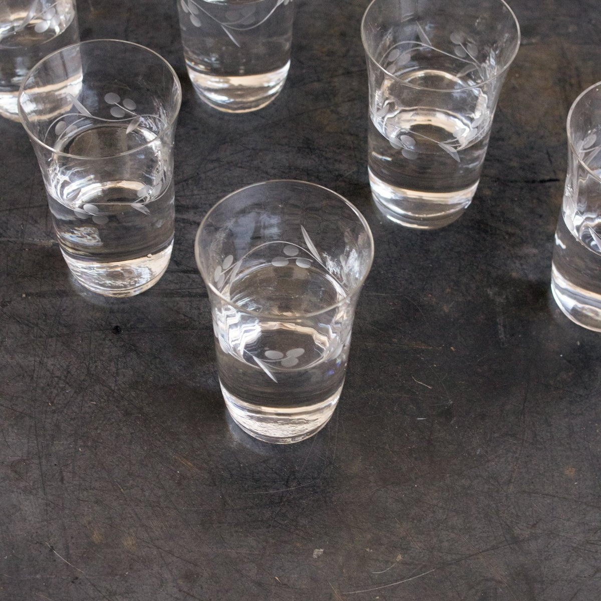 Etched Blown Glass Tumbler Set Of 6 - elsie green - The French Kitchen