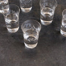 Etched Blown Glass Tumbler Set Of 6 - elsie green - The French Kitchen