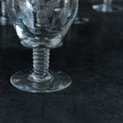 Etched Strawberry Petite Glass Set Of 9 - elsie green - The French Kitchen