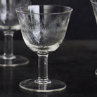 Etched Wine Glass Set of 4 - elsie green - the french kitchen